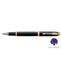 Parker IM Laca Negra GT