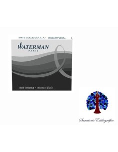 Waterman Cartuchos