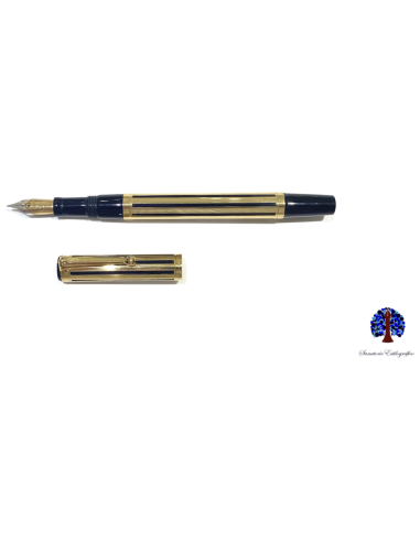 Waterman Watermina Gold Fountain Pen